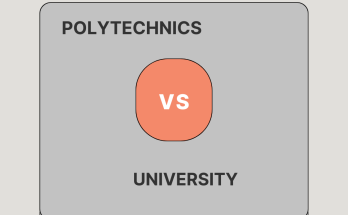 Differences Between University and Polytechnic