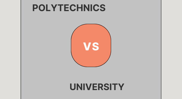Differences Between University and Polytechnic